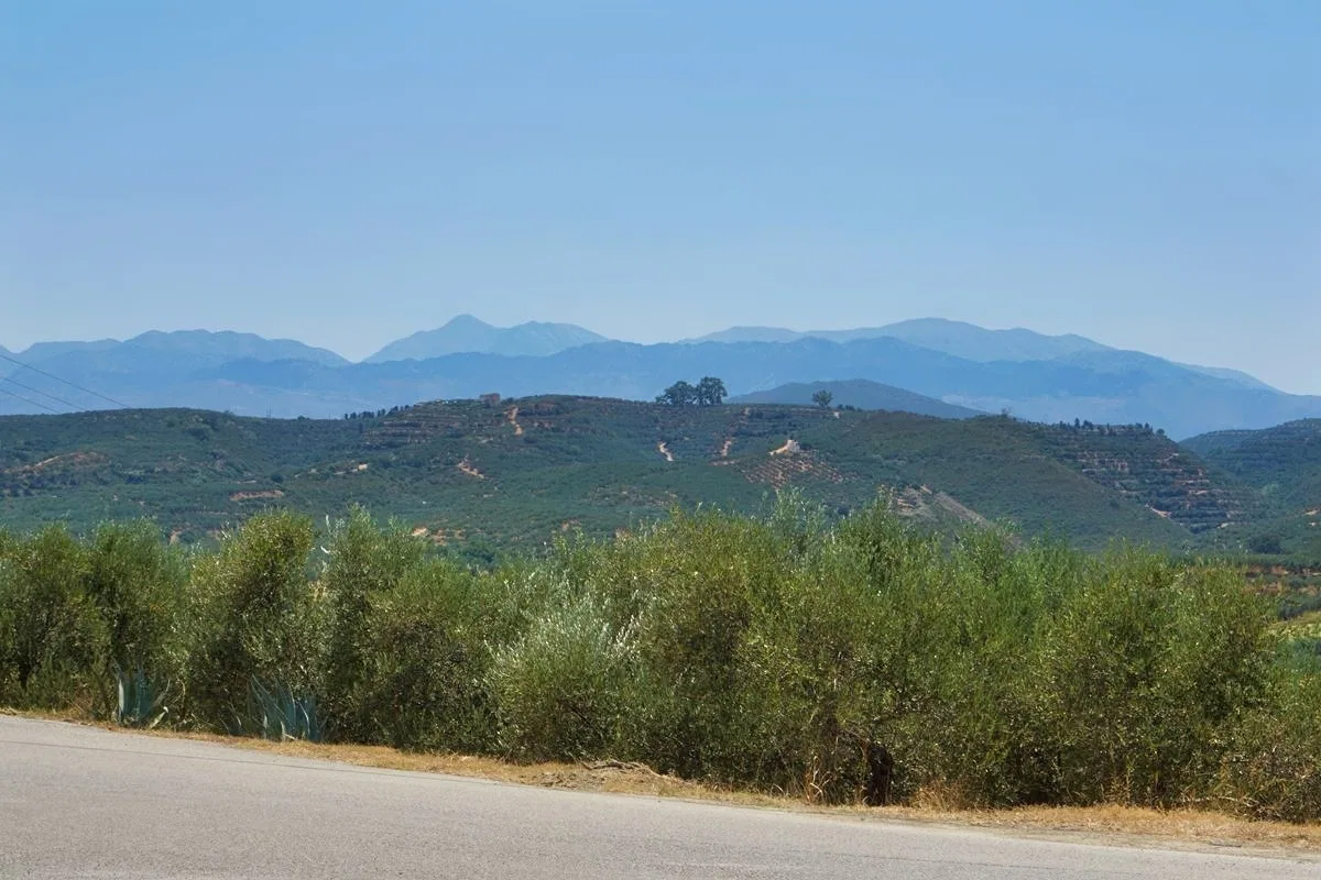 1,255 m² Plot for Sale in Xamoudochori, Platanias
