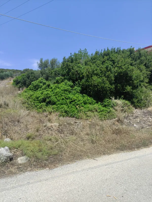 Seafront 750 m² Land for Sale in Vasilopoulo, Platanias