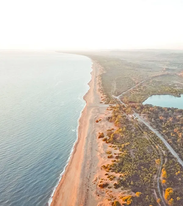 261,000 m² Plot for Sale in Ilia, Peloponnese — photo 2