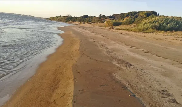 261,000 m² Plot for Sale in Ilia, Peloponnese