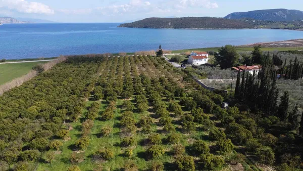 Sea-View 14,000 m² Plot for Sale in Ermioni, Argolida — photo 3