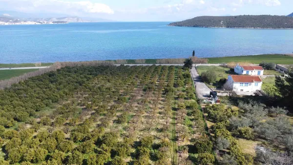 Sea-View 14,000 m² Plot for Sale in Ermioni, Argolida — photo 2