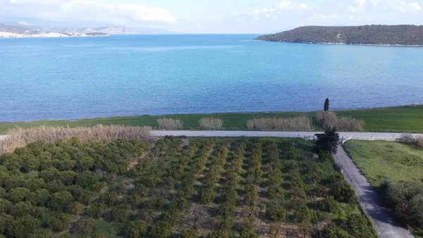 Sea-View 14,000 m² Plot for Sale in Ermioni, Argolida