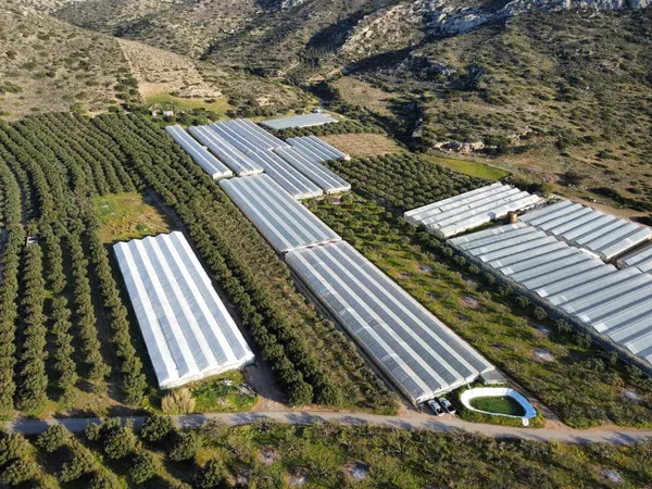 Business for Sale in Lasithi — photo 3