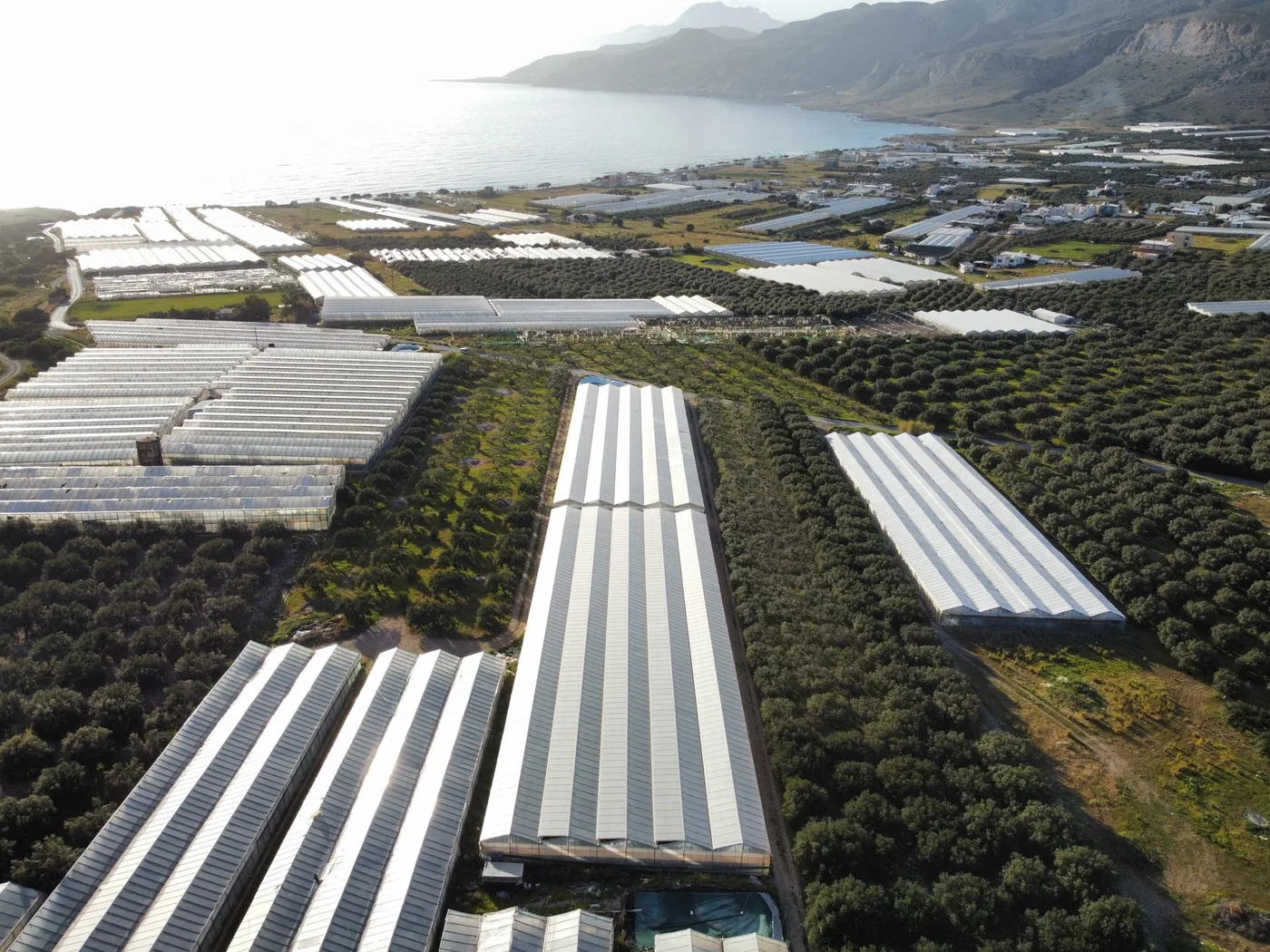 Business for Sale in Lasithi