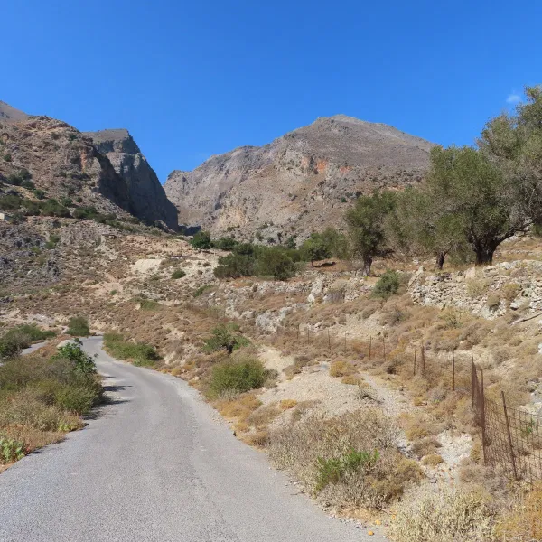 Seafront 7,992 m² Plot of Land for Sale in Fragkokastelo, Sfakia — photo 4
