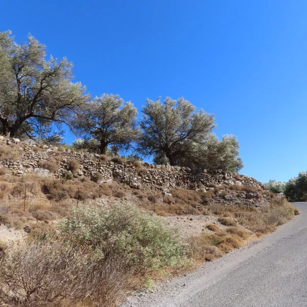 Seafront 7,992 m² Plot of Land for Sale in Fragkokastelo, Sfakia — photo 3