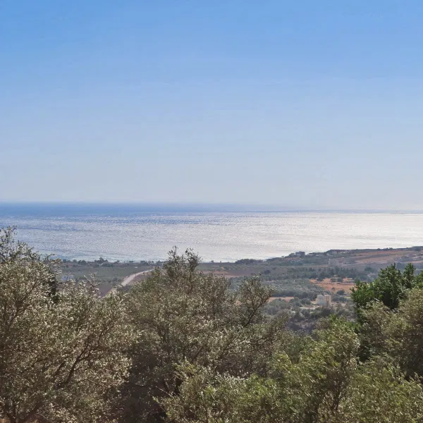 Seafront 7,992 m² Plot of Land for Sale in Fragkokastelo, Sfakia
