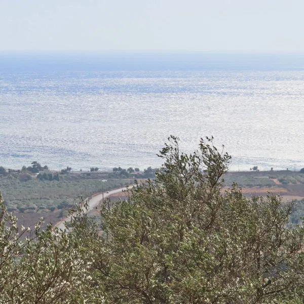 Seafront 7,992 m² Plot of Land for Sale in Fragkokastelo, Sfakia — photo 2