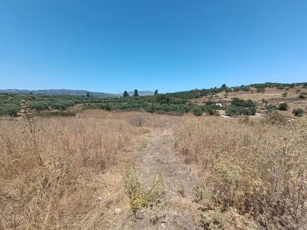 13,000 m² Land for Sale in Fres, Apokoronas — photo 3