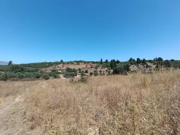 13,000 m² Land for Sale in Fres, Apokoronas — photo 4