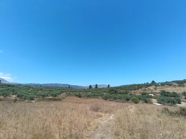 13,000 m² Land for Sale in Fres, Apokoronas