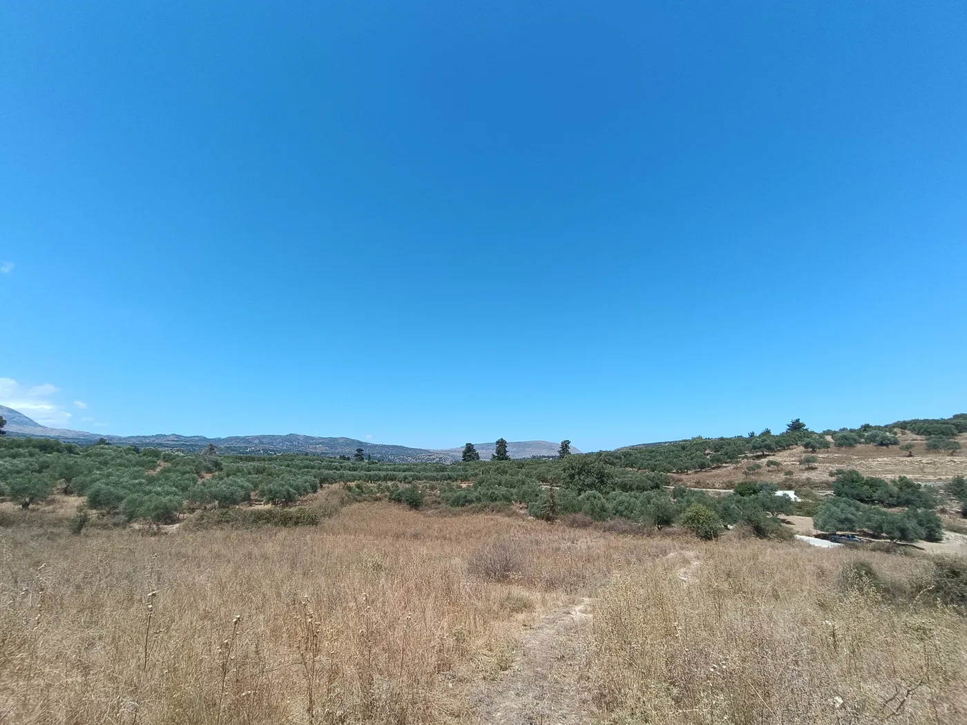 13,000 m² Land for Sale in Fres, Apokoronas