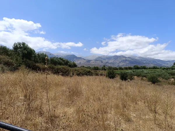 13,000 m² Land for Sale in Fres, Apokoronas — photo 5