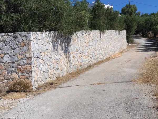 Sea-View 9,604 m² Plot of Land for Sale in Sternes, Akrotiri — photo 4