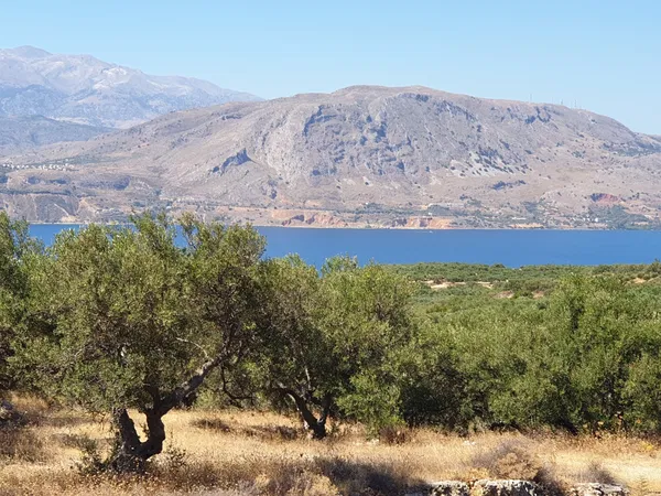 Sea-View 9,604 m² Plot of Land for Sale in Sternes, Akrotiri — photo 3