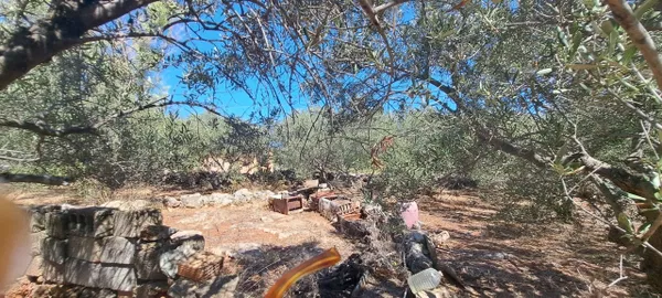 Sea-View 924 m² Land for Sale in Kokkino Chorio, Apokoronas — photo 3