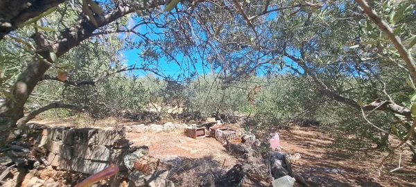 Sea-View 924 m² Land for Sale in Kokkino Chorio, Apokoronas — photo 2