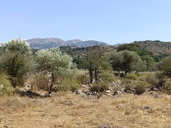4,166 m² Plot of Land for Sale in Vryses, Apokoronas — photo 4