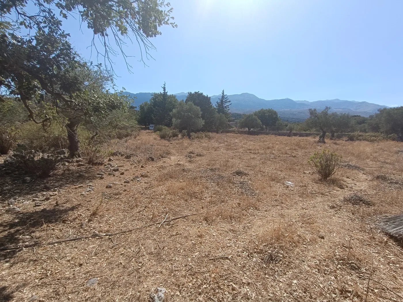 4,166 m² Plot of Land for Sale in Vryses, Apokoronas