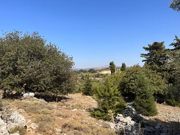 Sea-View 5,426 m² Land for Sale in Episkopi, Rethymnon — photo 2