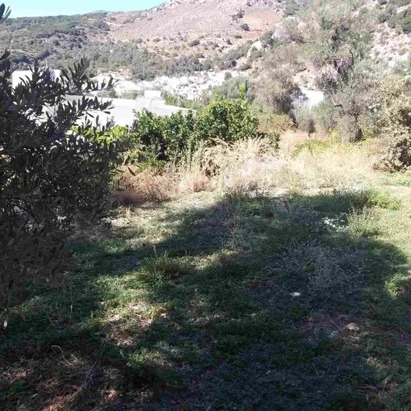 700 m² Plot for Sale in Spili, Agios Vassilios