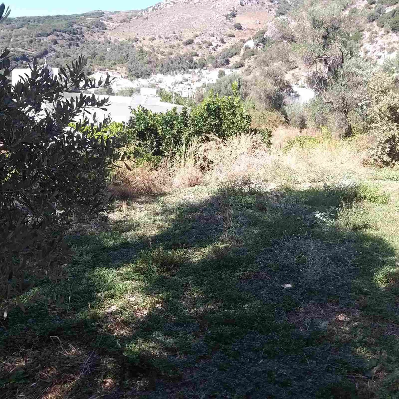 700 m² Plot for Sale in Spili, Agios Vassilios