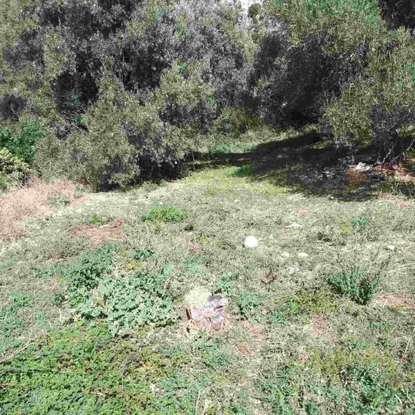700 m² Plot for Sale in Spili, Agios Vassilios — photo 4