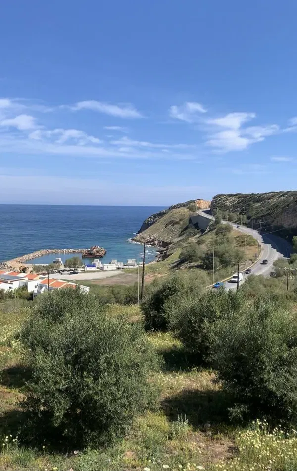 Sea-View 12,000 m² Land for Sale in Skaleta, Arkadi — photo 4