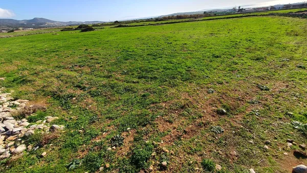 Seafront 5,080 m² Plot for Sale in Paros, Cyclades — photo 5