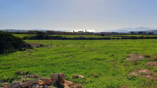 Seafront 5,080 m² Plot for Sale in Paros, Cyclades — photo 4