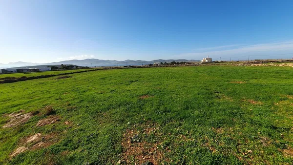 Seafront 5,080 m² Plot for Sale in Paros, Cyclades — photo 3