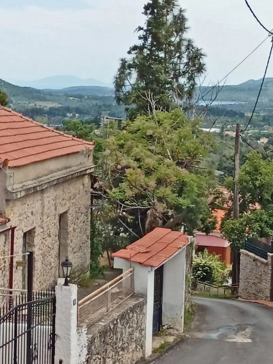Villa for Sale in Agia Triada Attica, Attica