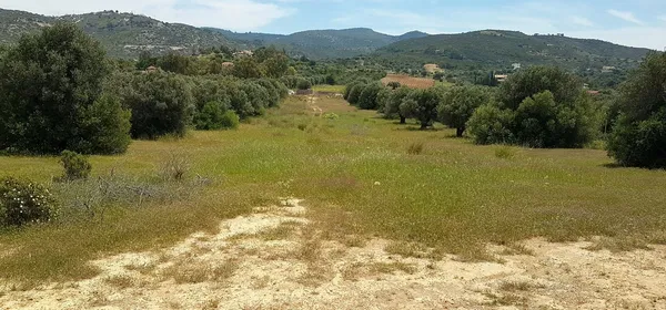 6,900 m² Land for Sale in Anavyssos, Attica