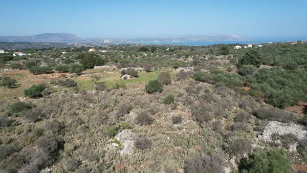 Sea-View 41,000 m² Land for Sale in Litsarda, Apokoronas — photo 5