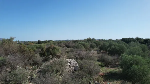 Sea-View 41,000 m² Land for Sale in Litsarda, Apokoronas — photo 4