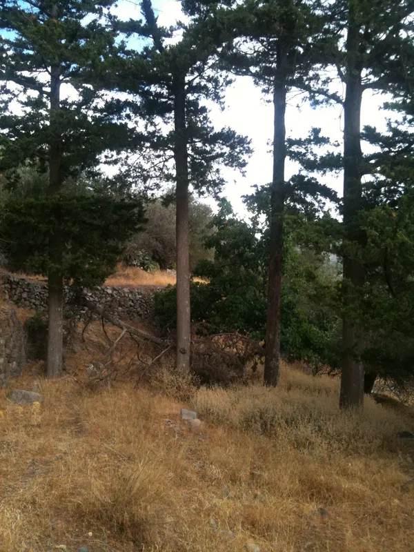 542 m² Plot for Sale in Elafonisi, Kissamos — photo 2