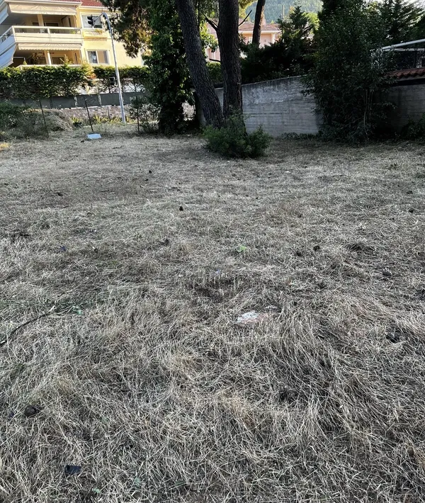 627 m² Land for Sale in Drosia, Athens Northern suburbs — photo 2