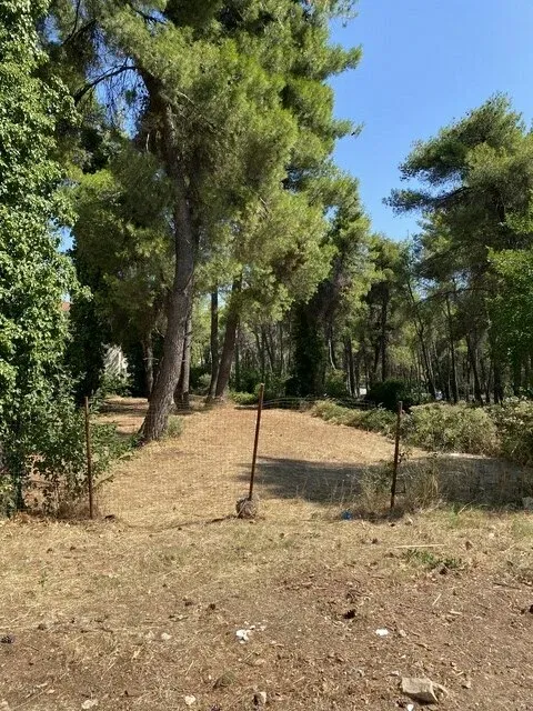 627 m² Land for Sale in Drosia, Athens Northern suburbs — photo 4