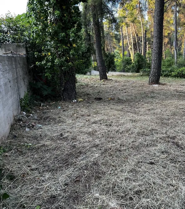 627 m² Land for Sale in Drosia, Athens Northern suburbs — photo 3