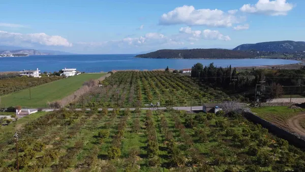 Sea-View 9,000 m² Plot of Land for Sale in Ermioni, Argolida