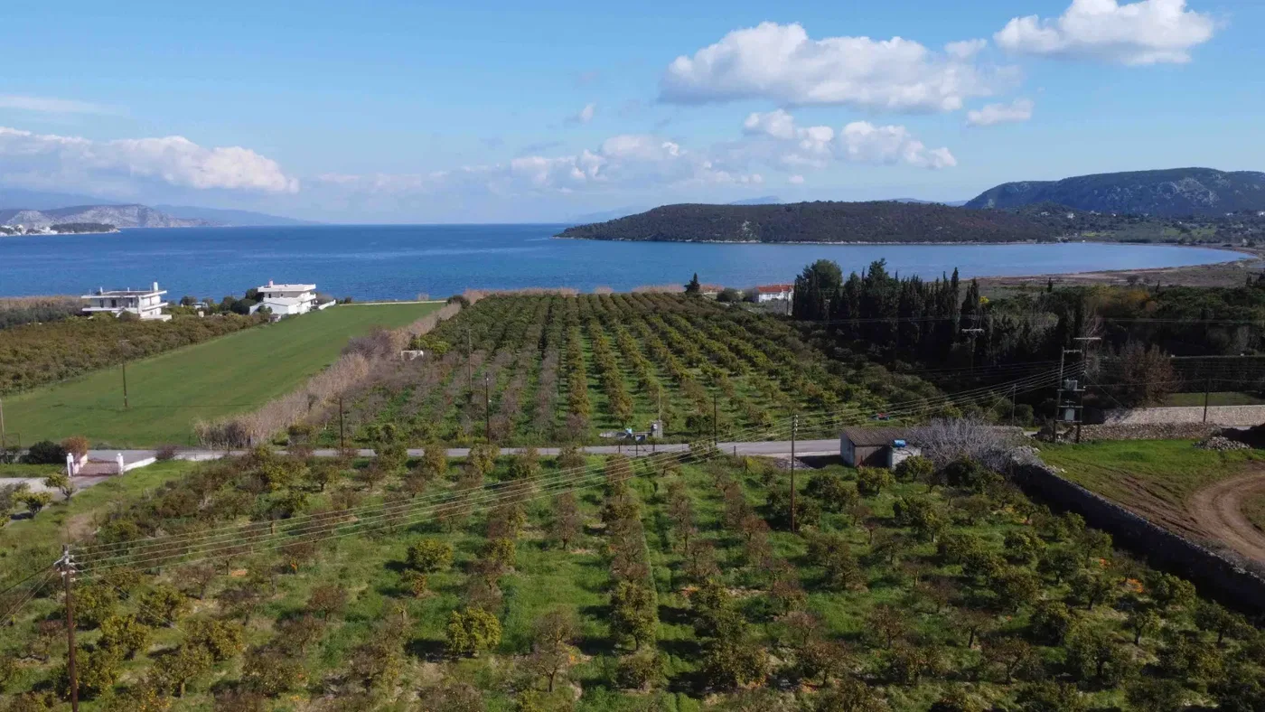 Sea-View 9,000 m² Plot of Land for Sale in Ermioni, Argolida