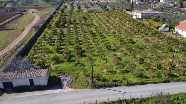 Sea-View 9,000 m² Plot of Land for Sale in Ermioni, Argolida — photo 3