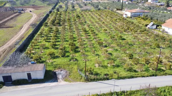 Sea-View 9,000 m² Plot of Land for Sale in Ermioni, Argolida — photo 2