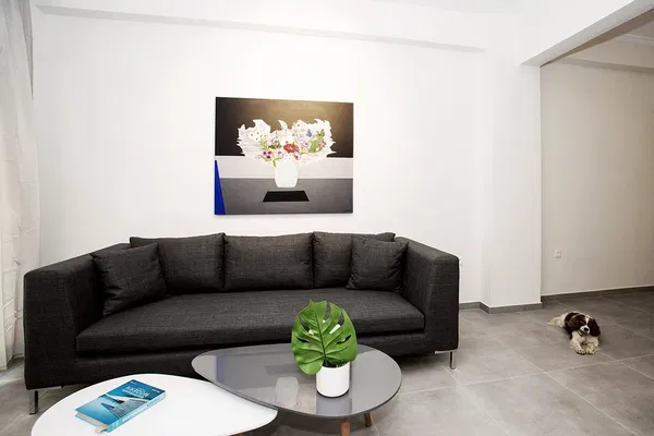 One-Bedroom Renovated Apartment for Sale in Pangrati, Athens Center — photo 2