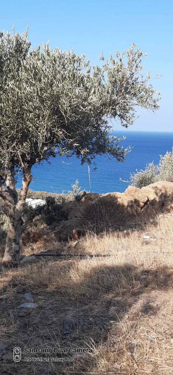 3,254 m² Plot for Sale in Sfinari, Kissamos — photo 2