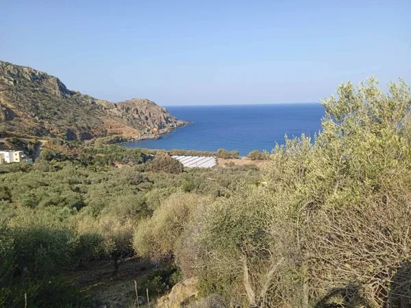 3,254 m² Plot for Sale in Sfinari, Kissamos — photo 5