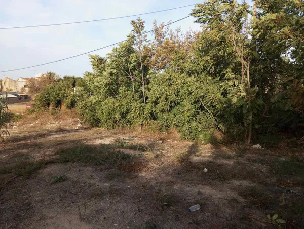 Seafront 1,000 m² Plot for Sale in Adele, Rethymnon — photo 2