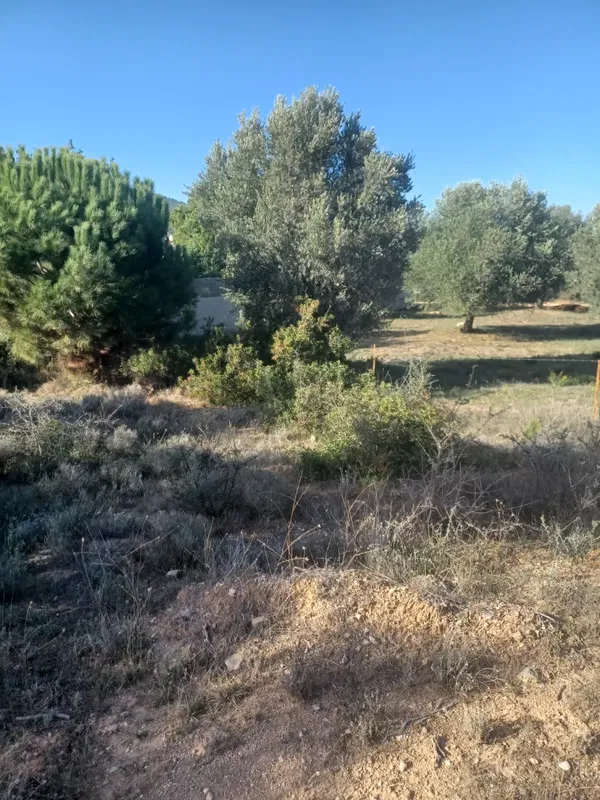 610 m² Land for Sale in Paiania, Athens Eastern Suburbs — photo 2