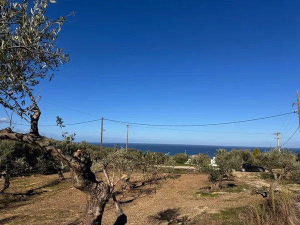 2,300 m² Land for Sale in Maleme, Platanias — photo 3